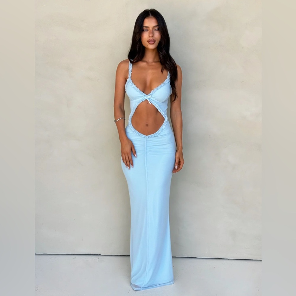 NWT RAYLA DRESS - TIGER MIST SIZE XS